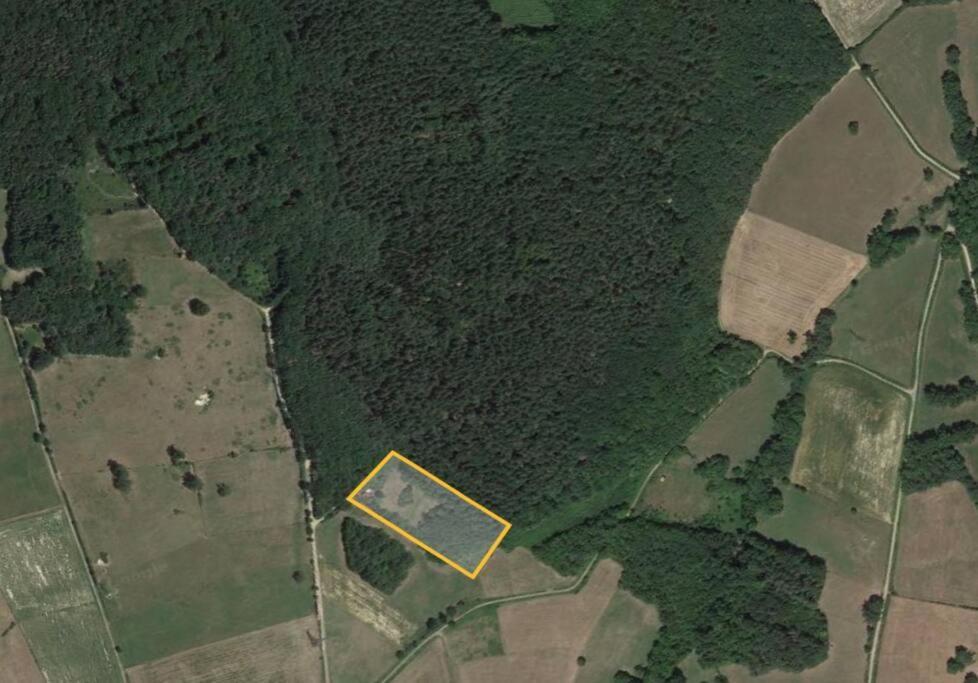 La Cabane Perchee De La Mure Bongheat Zewnętrze zdjęcie